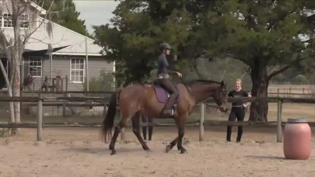 Helping A Horse Be Open To The Reques...