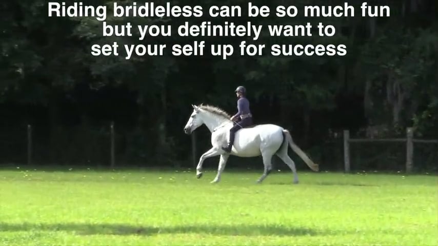 Transitioning to Bridleless - First Steps - Sept 2019