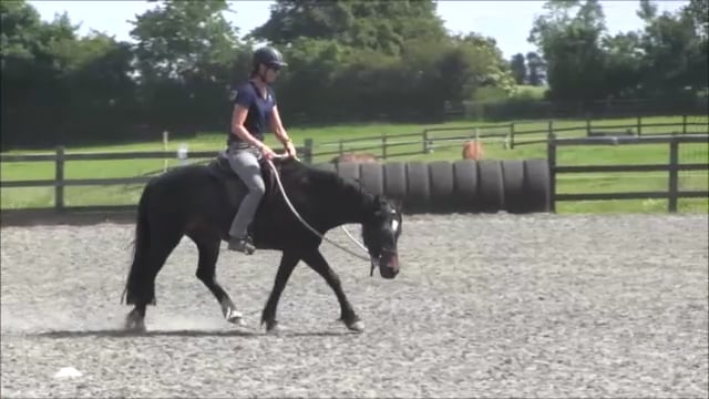 Basic Alignment Exercise - Aug 2014