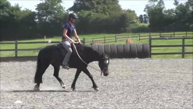 Basic Alignment Exercise - Aug 2014