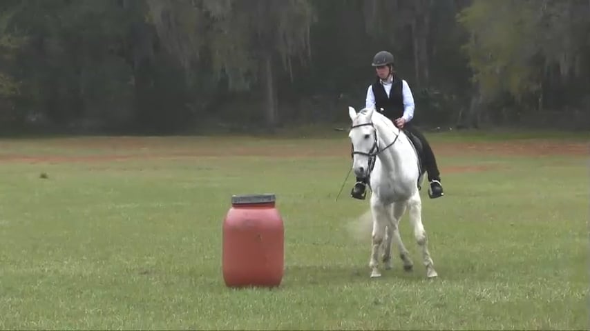 HQ & FQ Yields In Motion with Shelby Hume - Apr 2015
