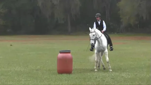 HQ & FQ Yields In Motion with Shelby ...