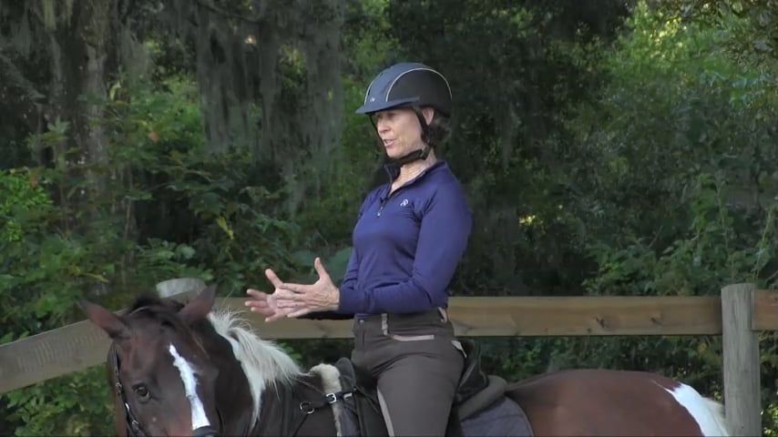 Sitting On Your Elbows to Improve Rider Position - Sept 2018