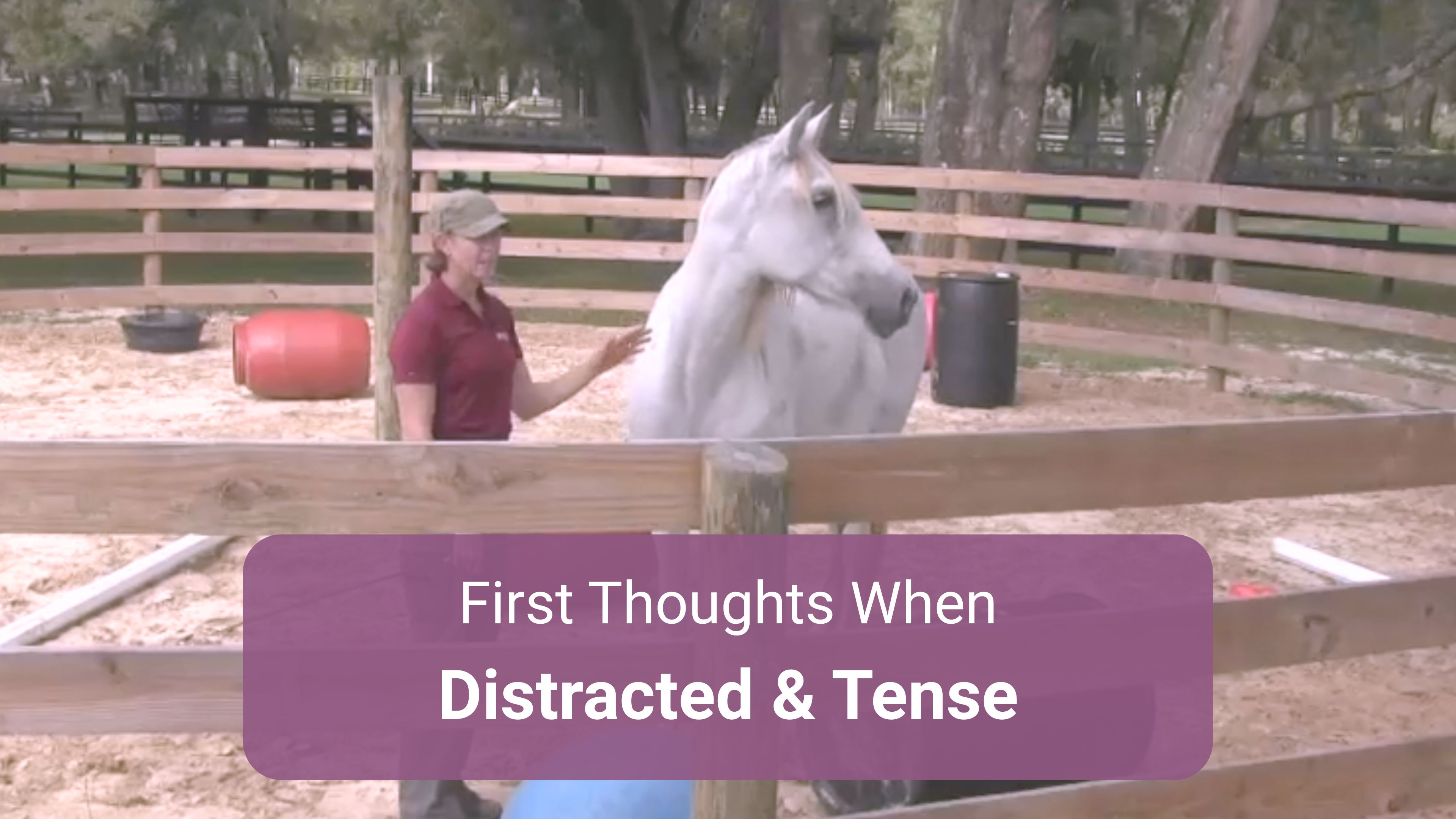 First Steps with Distracted Horse 2-Parts