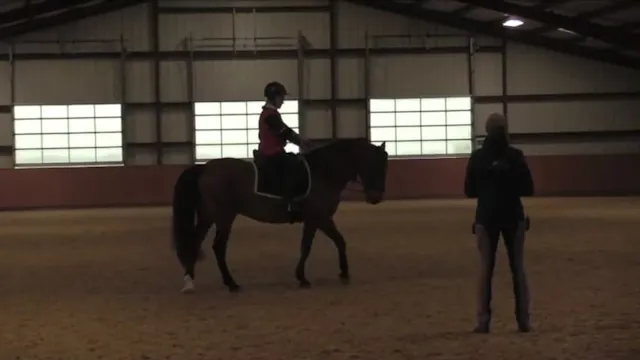 Riding Shoulder-In With More Ease - J...