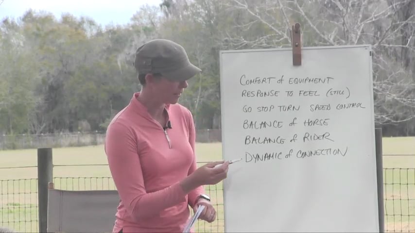 Ingredients for Successful Connection With Reins - May 2016