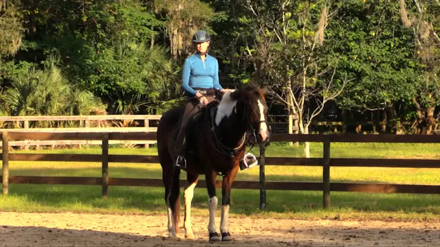 3 Questions For Shoulder In - Aug 2023
