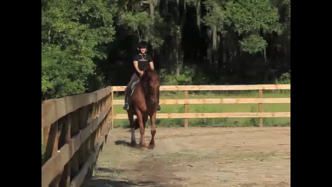 Improving Collectibility at Walk & Trot - Lisa & Dylan - Oct 2010