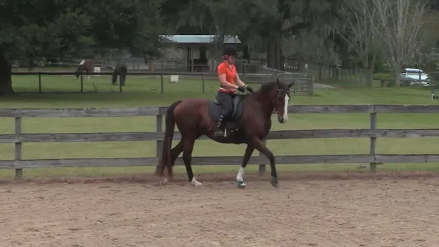 Smoother Walk To Trot Transitions - N...