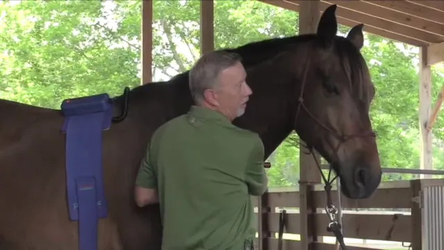 Horse Health Assessment with Photonic...