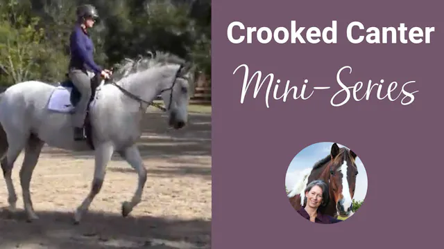 Crooked Canter Problems Mini-Series