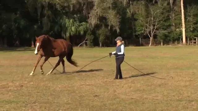 Warming Up On Line - Shawna Lewis - J...