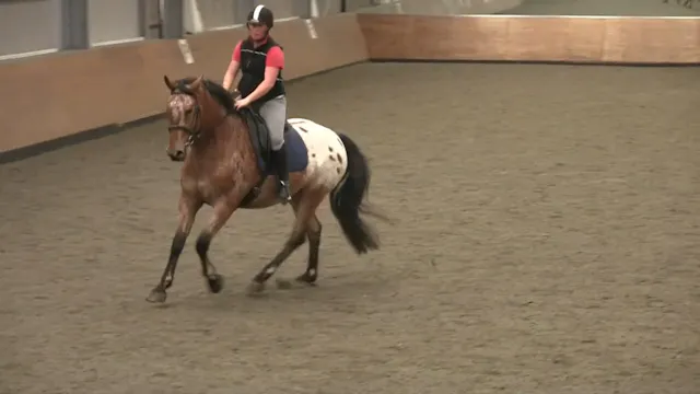 Counter-Bend to Canter Depart - Septe...
