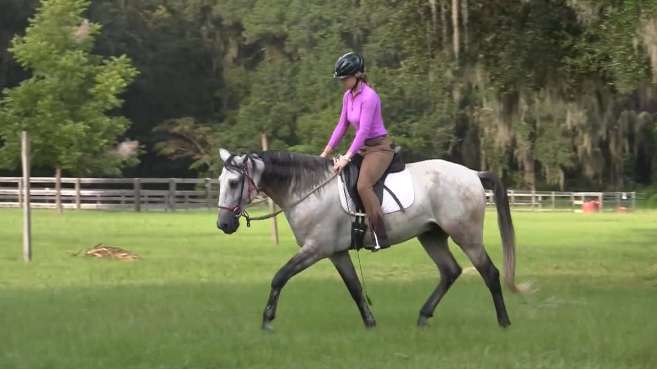Finding Sweet Spot With A Tense Horse - November 2013