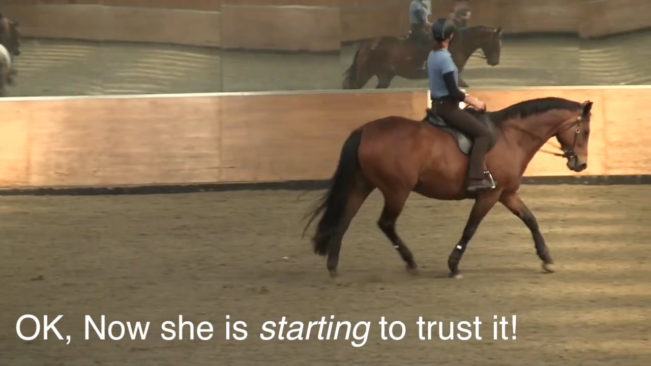 Connection With The Reins: Poll Flexion - August 2012