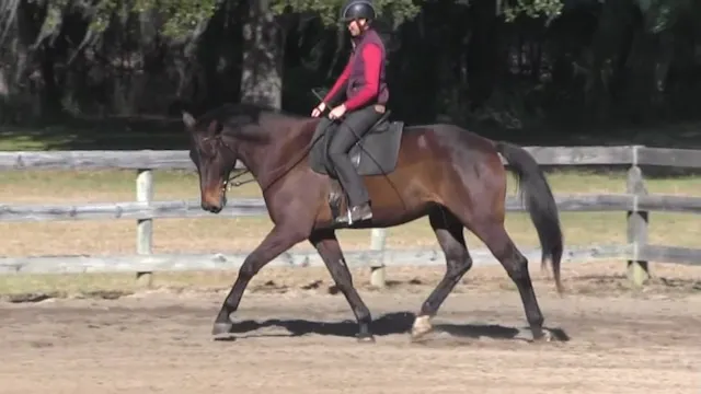 3 Questions For Working Gaits - Dec 2017