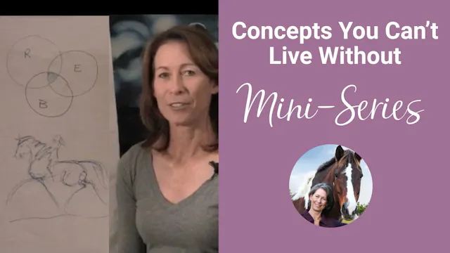 Karen's Key Concepts You Can't Live Without