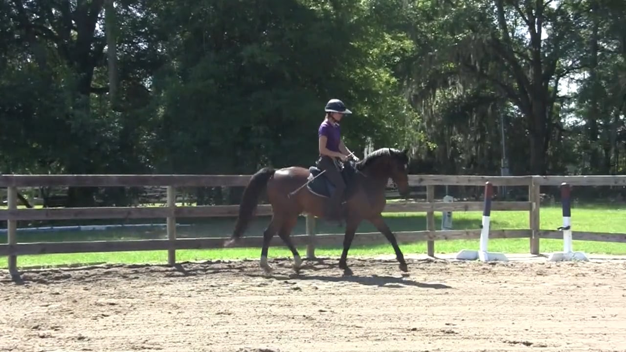 Asking For Attention - Atomic Riding - July 2012