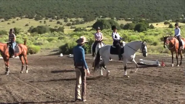 Basic Alignment Exercise at the Trot ...