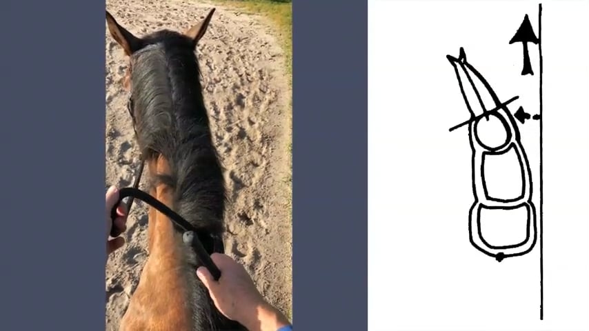 Rider's Eye View Of Lateral Positions - July 2018