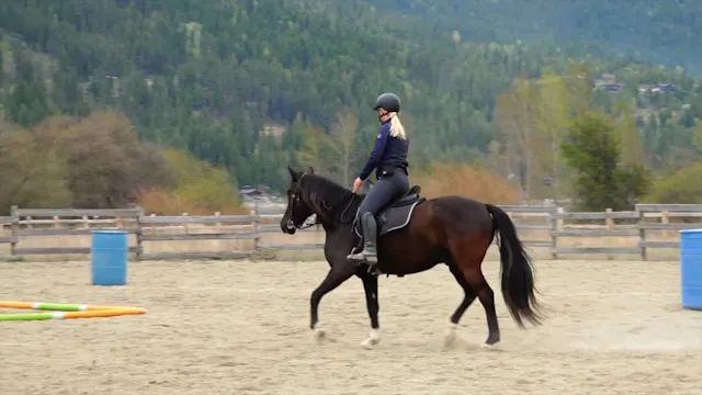 Cloverleaf and Pole Box Trot Michelle...