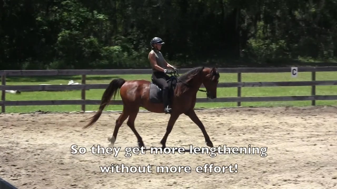 Quick Tip For Trot Lengthenings - June 2012