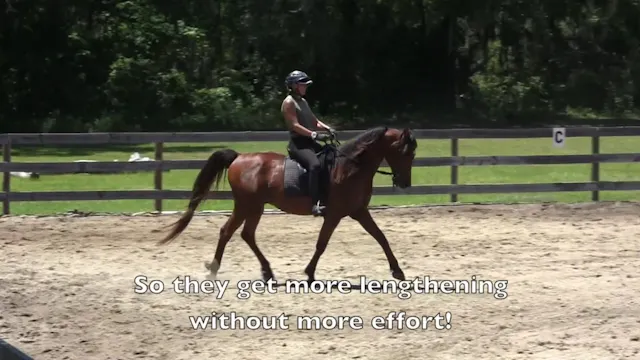 Quick Tip For Trot Lengthenings - Jun...