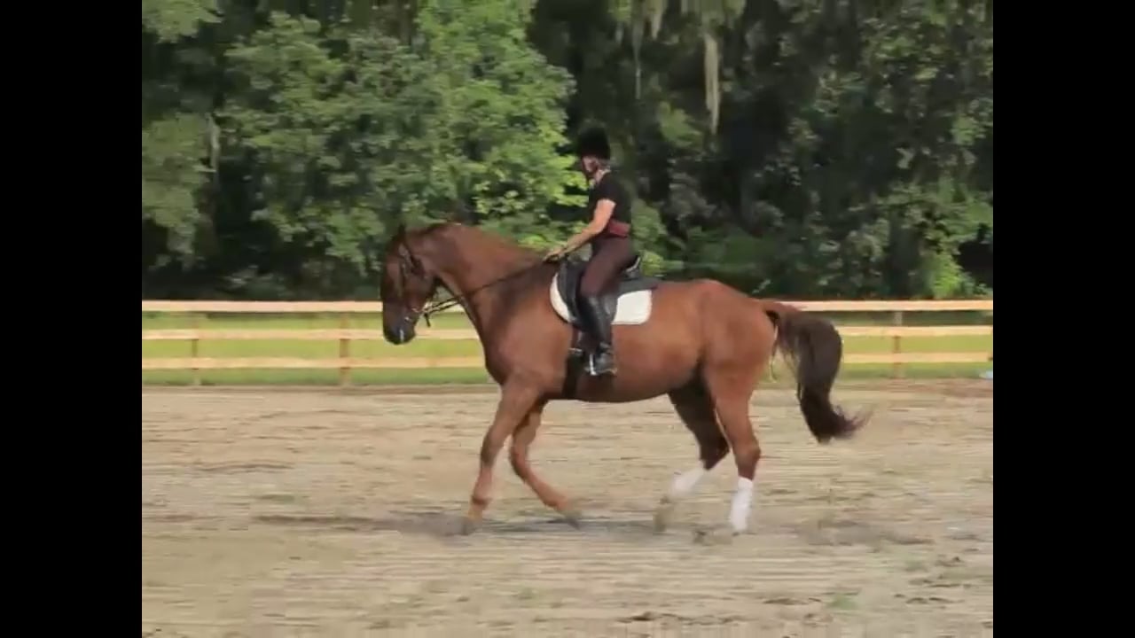 Improving Collectibility at Canter - Lisa & Dylan - Oct 2010