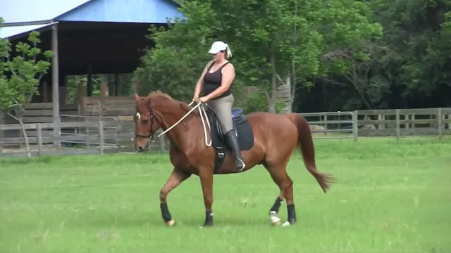 Posture Transformation Rebecca and Ar...