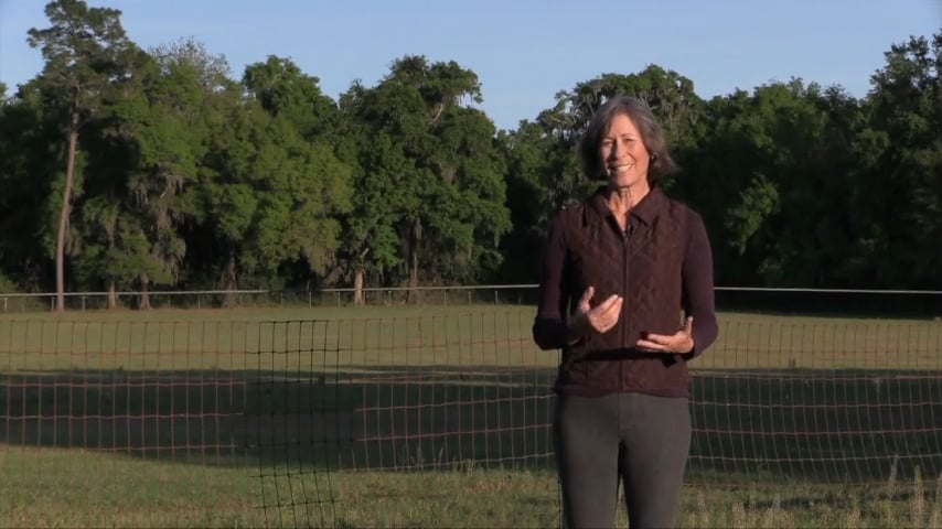 How to Give Your Horse a Break During Sessions - April 2019
