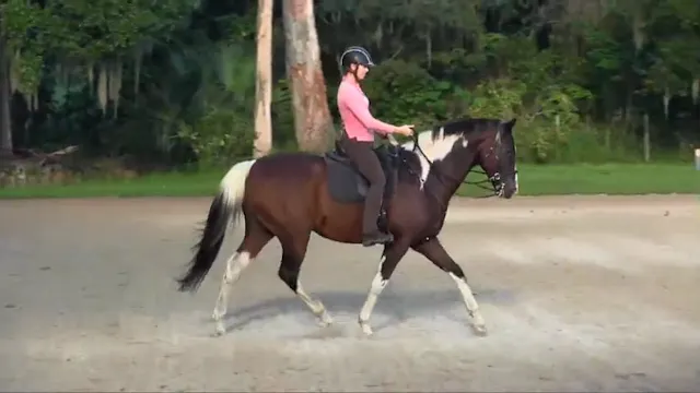 3 Questions To Refine Your Riding On ...