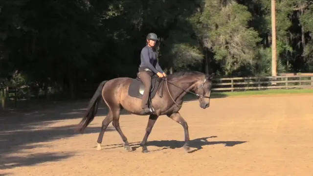 Using A Neck Rope While Riding - Oct ...