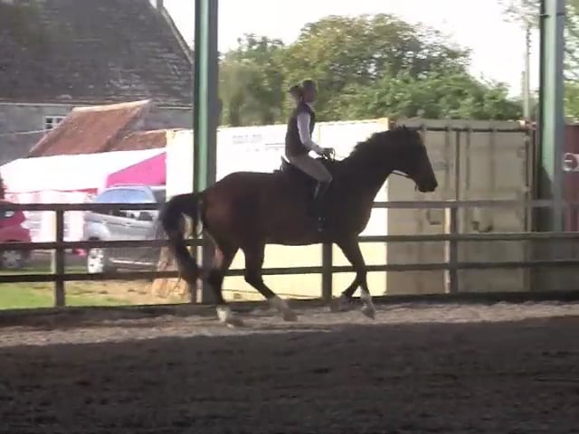 Improving Canter Rhythm - Oct 2011