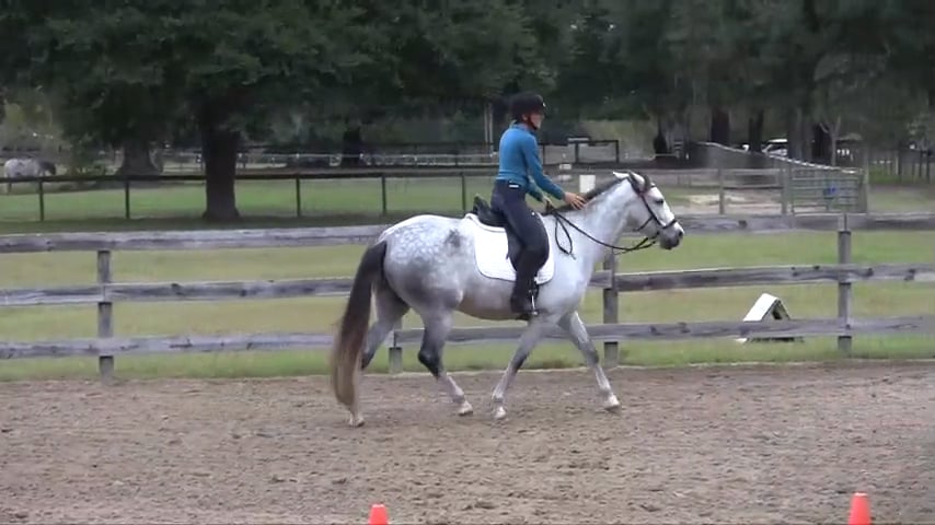 3 Questions for Staying Relaxed on a Green Horse - Dec 2016