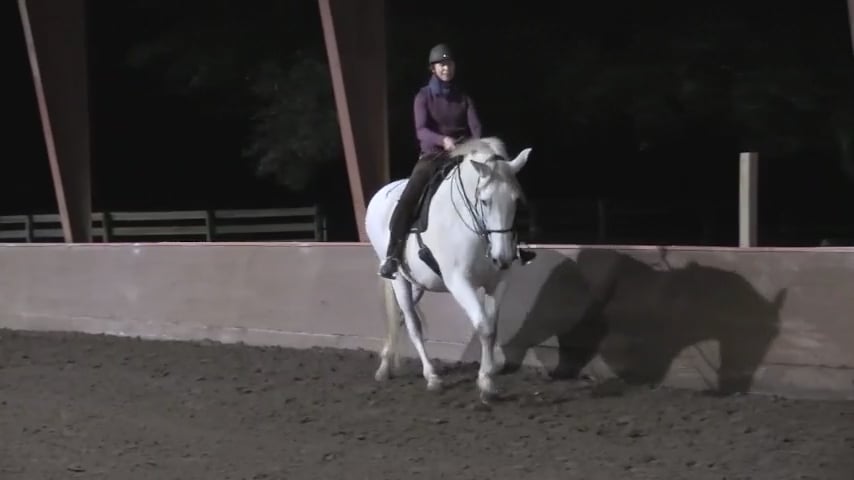 Bridleless Demo Part 1 - Mar 2020