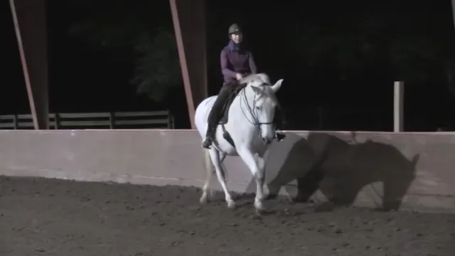 Bridleless Demo Part 1 - Mar 2020