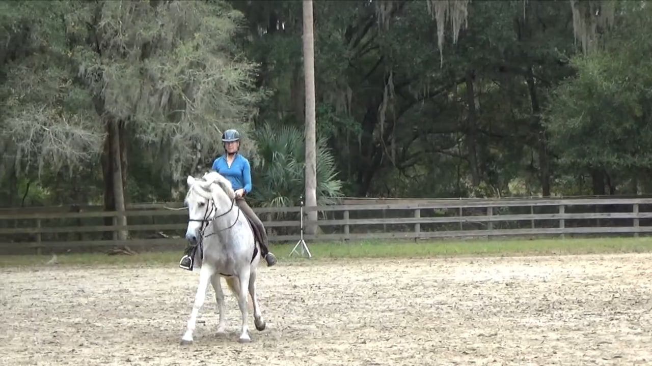 Lateral Work Power Pattern - Dec 2021
