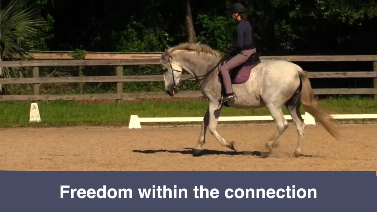 Improving Posture Without Reins - June 2022