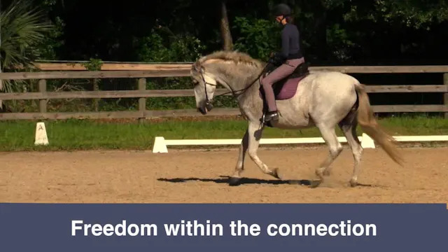 Improving Posture Without Reins - Jun...