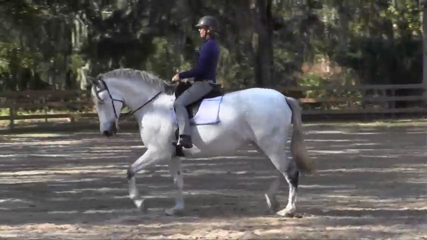 Bend and Counter Bend at Trot - Jan 2018