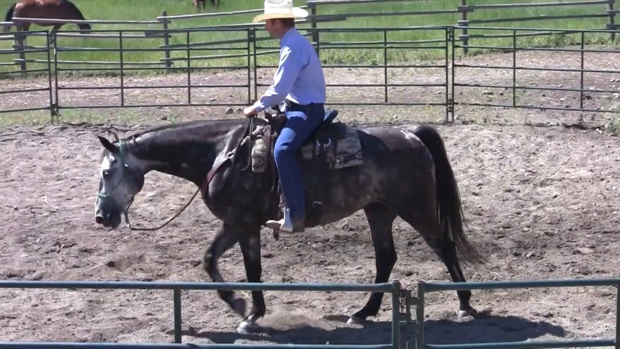 Jonathan Field "6 C's" Part 2: Riding - August 2013