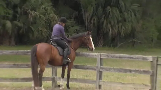 Collectibility Exercises For Canter -...