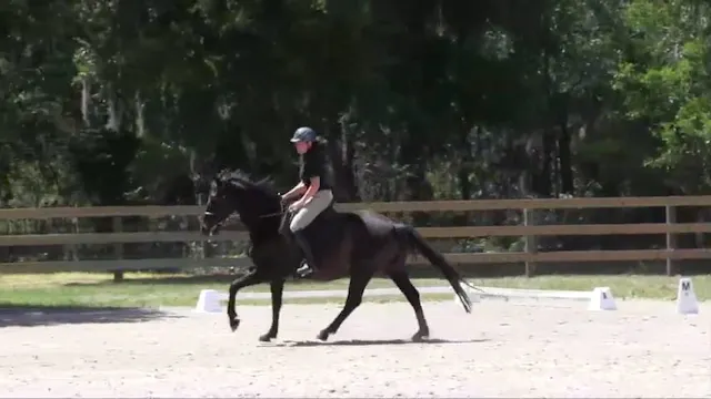 Maintaining Canter - June 2017