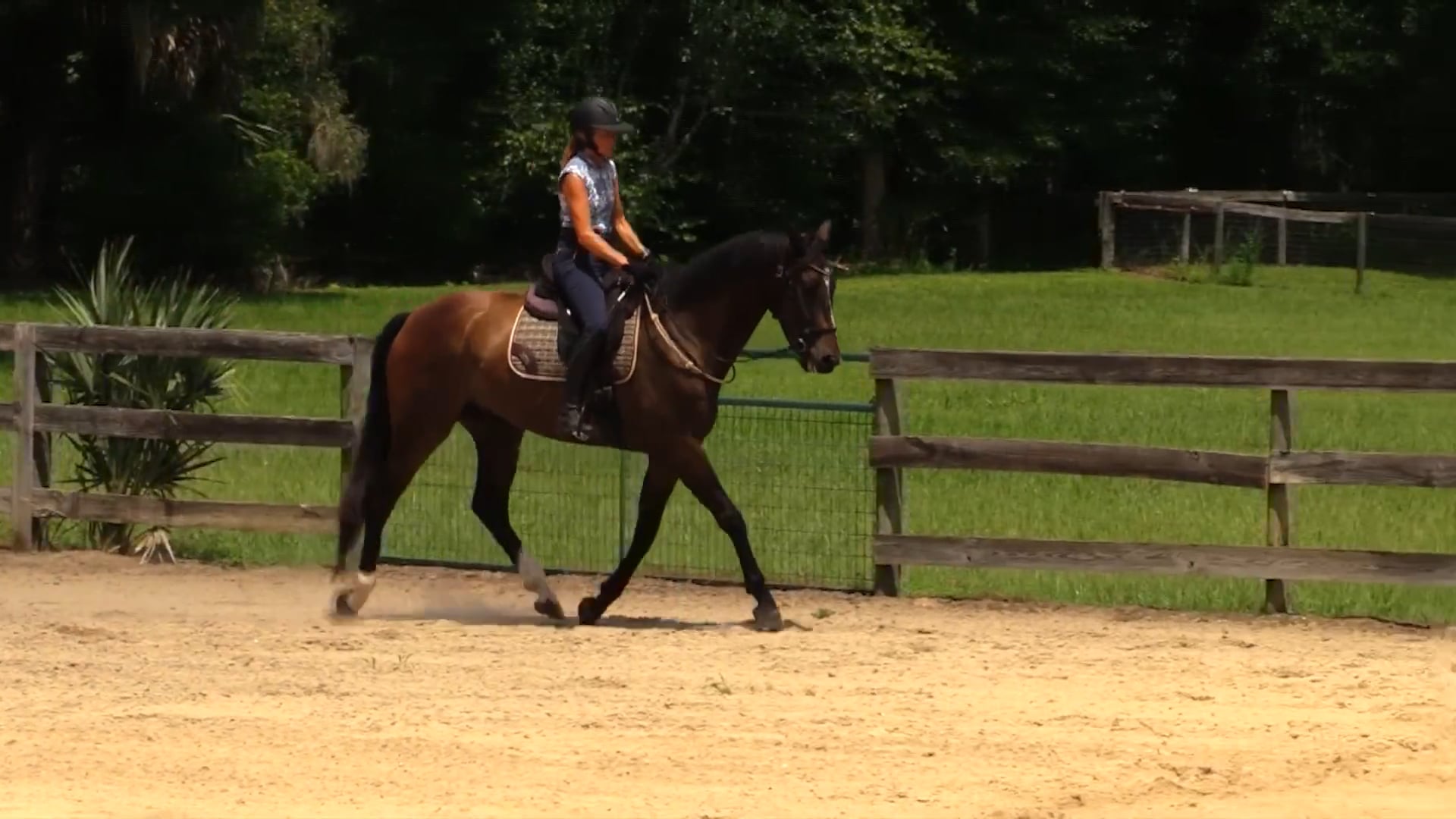 Helping A Horse Reach Into The Contact - August 2025