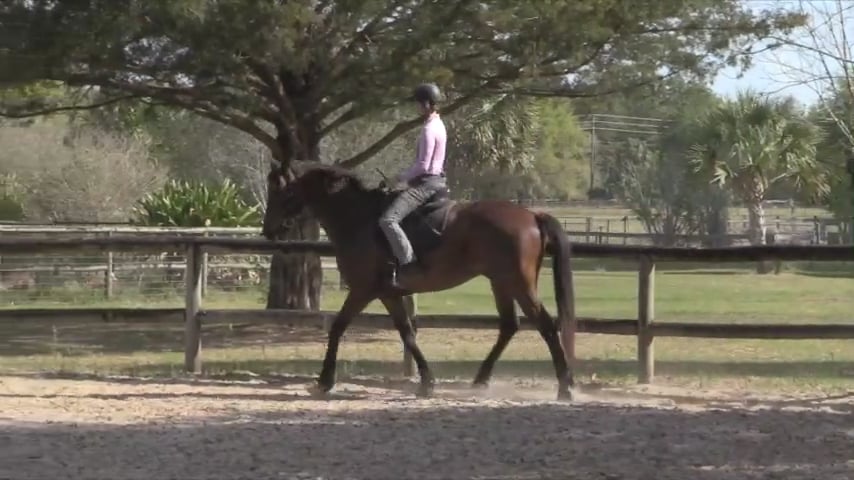 Decision-Making To Decrease Stress With Teo While Riding - Apr 2020
