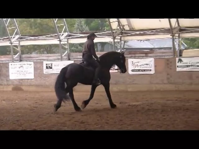 Basic Alignment Exercise Riding - Wouter - Nov 2011