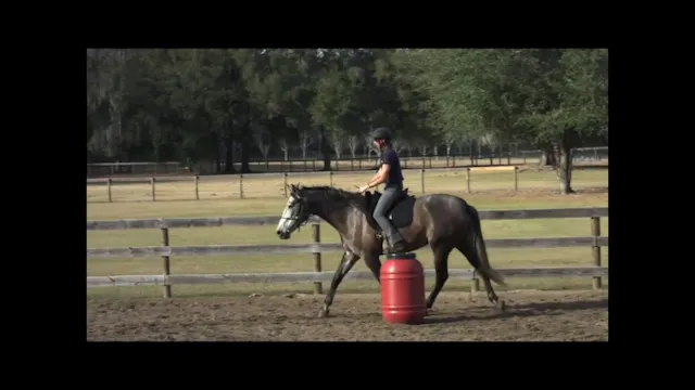 Basics with Natilla - February 2012