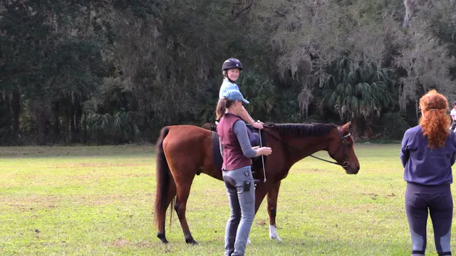 Empower Your Rider Position - Dec 2022