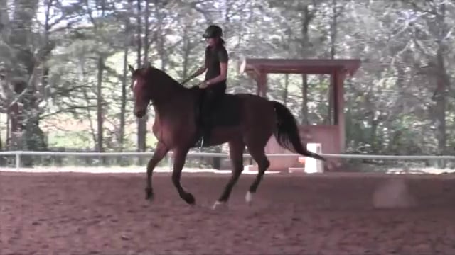 Increasing Engagement and Canter Depart Makeover - Aug 2014