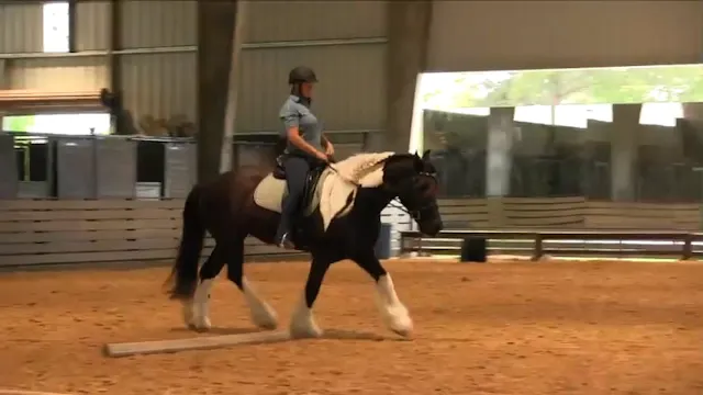 Foundational Impulsion Sttrategies Fo...
